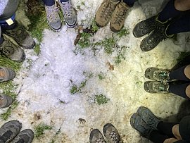 7E16C41C-C6D9-4340-A05E-4D90B03036F0_1_105_c