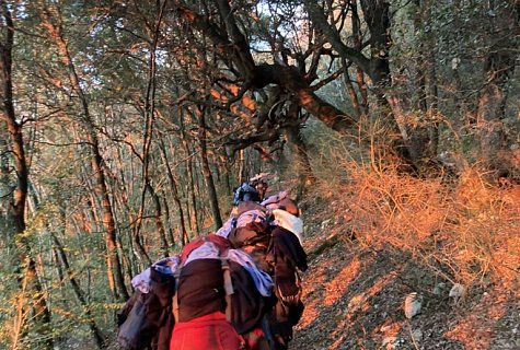 6E82FFAC-0280-4861-A71E-00BA2F4E53F3_1_105_c