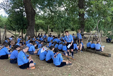 7C7D0E34-876C-4EC1-95EB-31417CFD741D_1_105_c